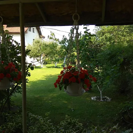Mali Raj Guest house *