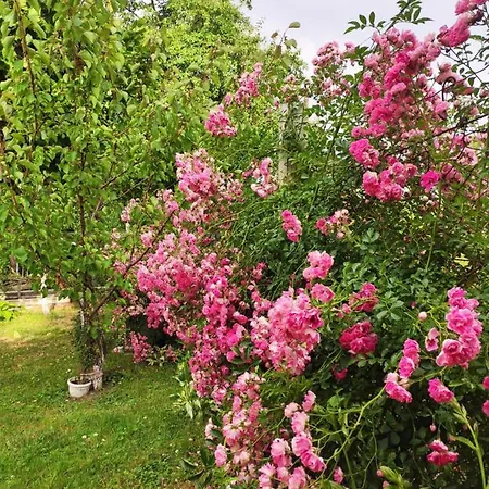 Mali Raj 3* Vrnjačka Banja